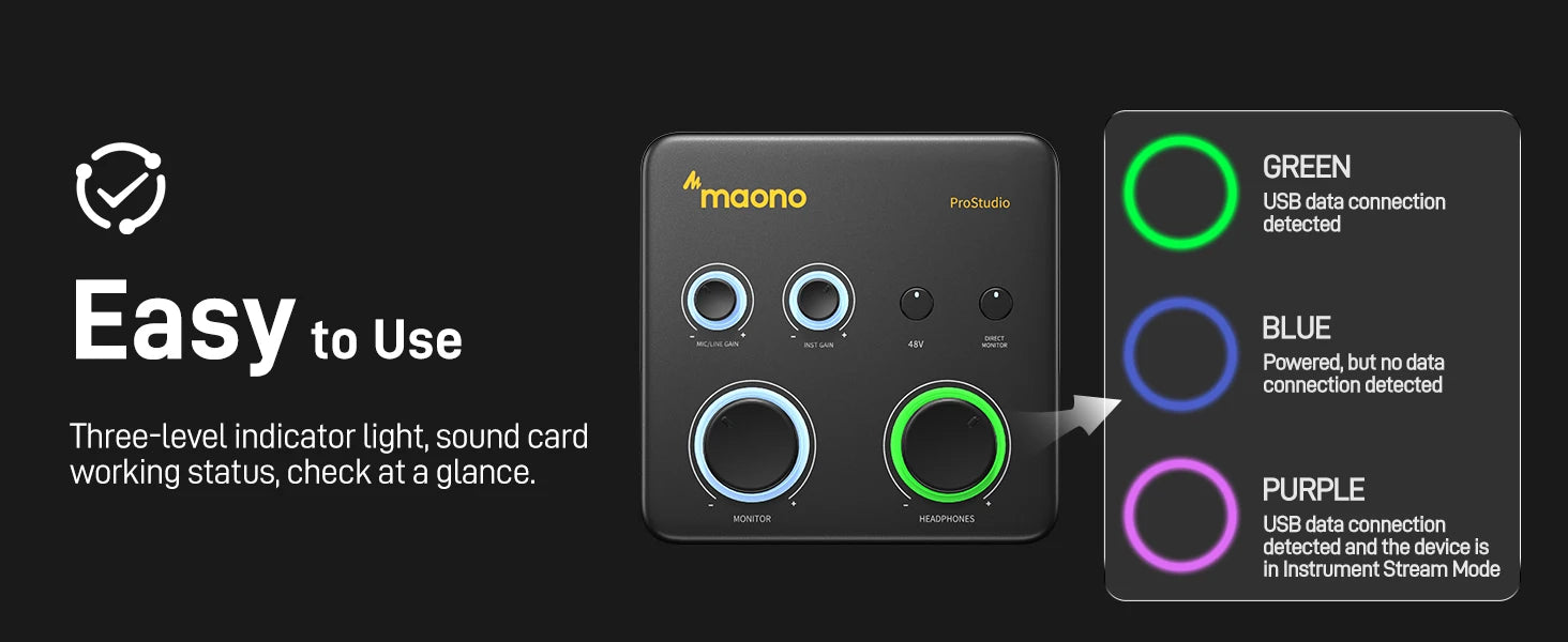 USB Audio Interface for PC,XLR Input 24-bit/192kHz Routing Software LOOPBACK ASIO for Recording Music,Guitar,DAW PS22 Lite