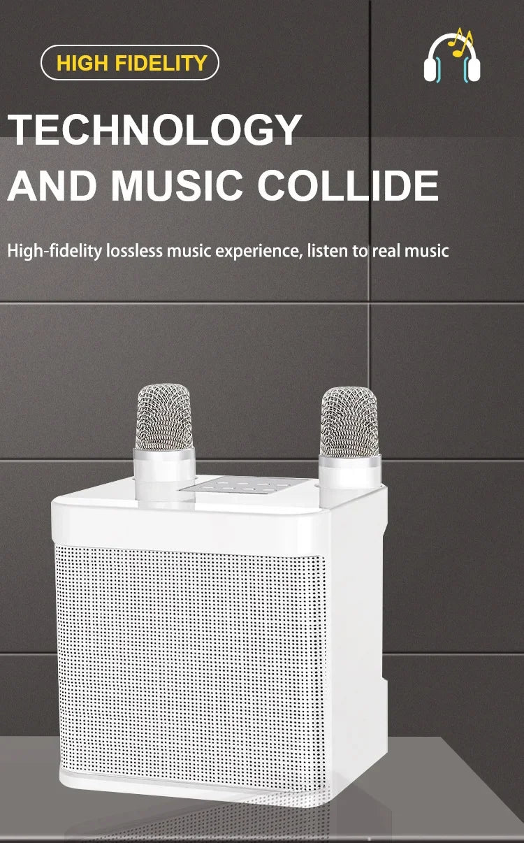 Portable Dual Microphone Karaoke Machine for Adults  Speaker Home KTV System HIFI Stereo Bluetooth Mic