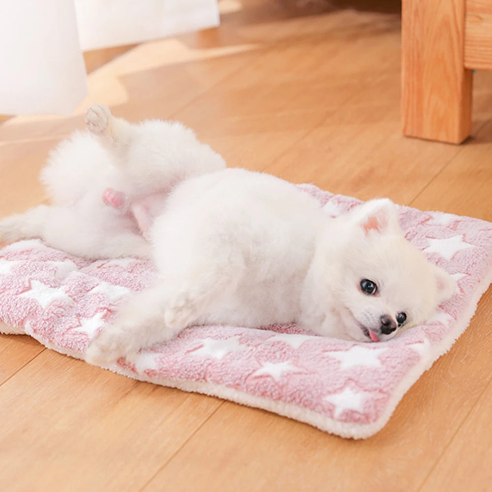 Washable Coral Fleece Pet Blanket Cushion Mat for Dogs and Cats
