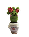 2 Pcs Funny Handmade Knitted Cactus Plants Ornament Home Room Decor Crochet Positive Cactus Doll With Emotional Card Christmas Gift