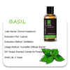 Basil Oil