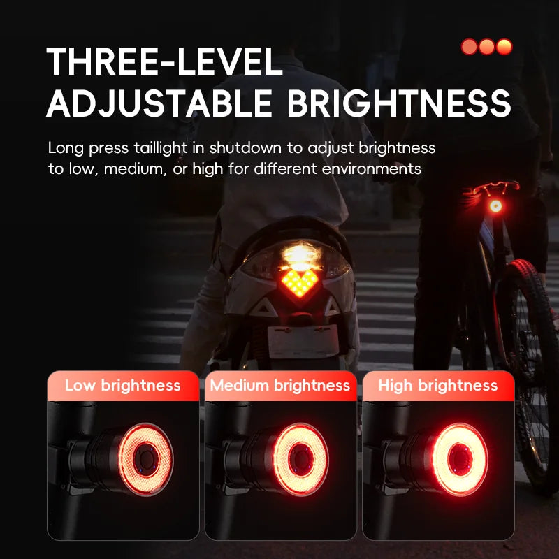 Smart Brake Sensing Bike Taillight IPX6 Waterproof Type-C Synchronized Bicycle Rear Light MTB Road Cycling Tail Light