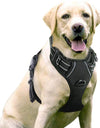 Pet Dog Harness Reflective Adjustable Breathable Dog Vest Harness for Small Medium Large Dogs Cat Dog Collar Dog Accessoires