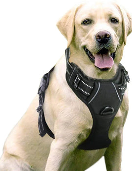 Pet Dog Harness Reflective Adjustable Breathable Dog Vest Harness for Small Medium Large Dogs Cat Dog Collar Dog Accessoires