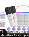 Y1 Wireless Dual Microphones Karaoke Machine KTV DSP System Bluetooth 5.3 PA Speaker HIFI Stereo Surround RGB Colorful LED Light