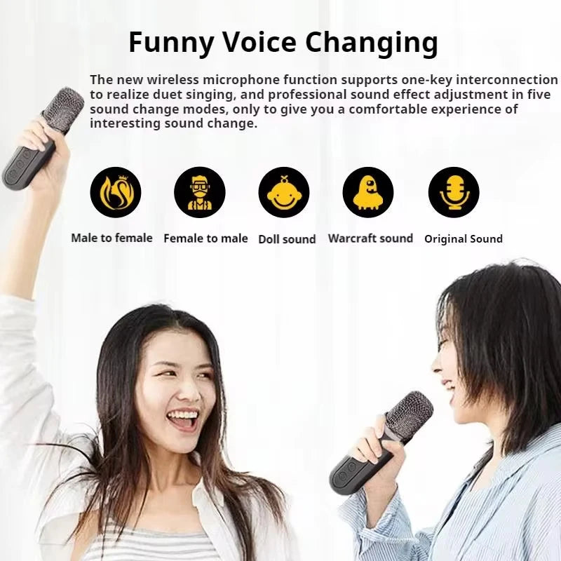 Portable Dual Microphone Karaoke Machine for Adults  Speaker Home KTV System HIFI Stereo Bluetooth Mic