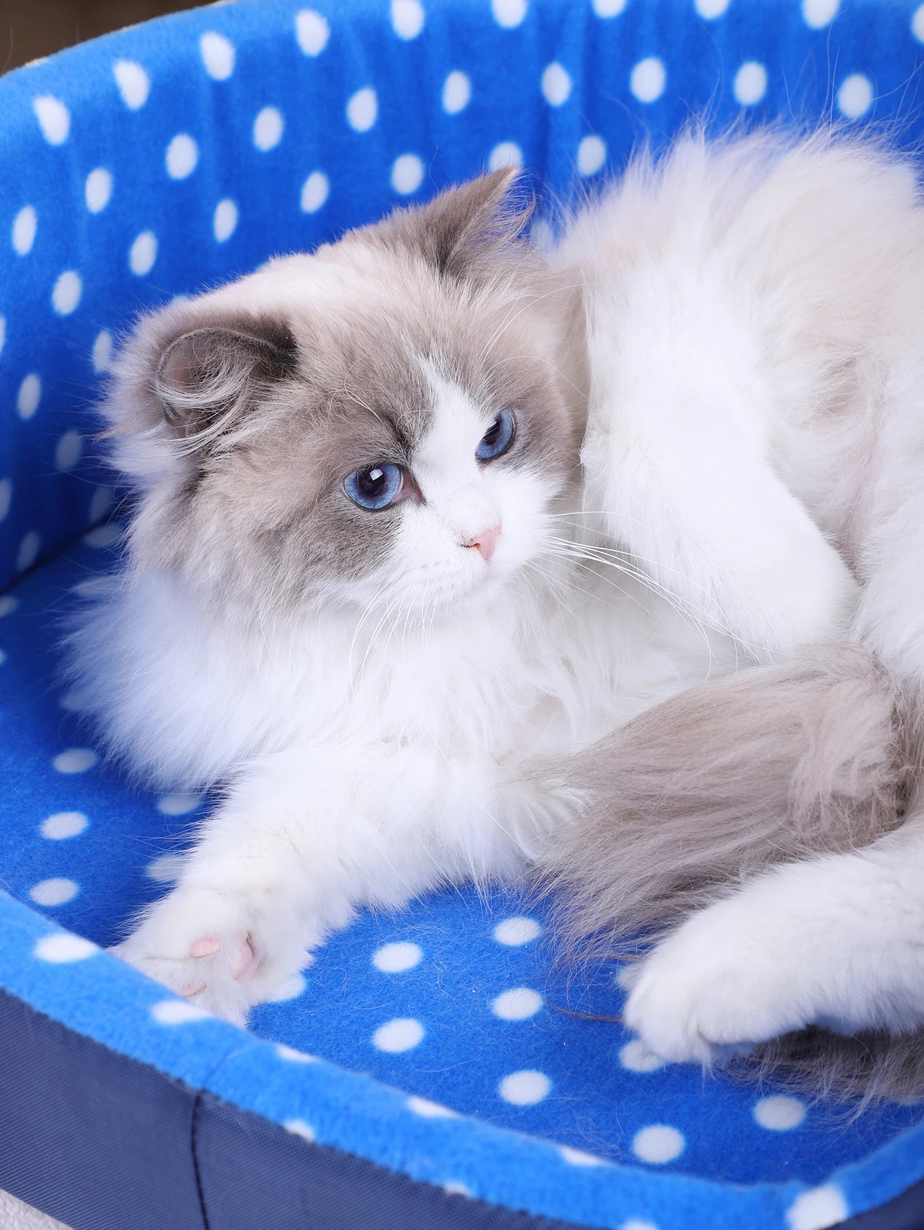 Coral Fleece Cat Bed Cushion Mat