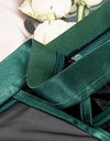 Panties Underwear Transparent Exotic Femme Tanga Female Intimate Lingerie Low Rise Glossy Silk Belt Panty