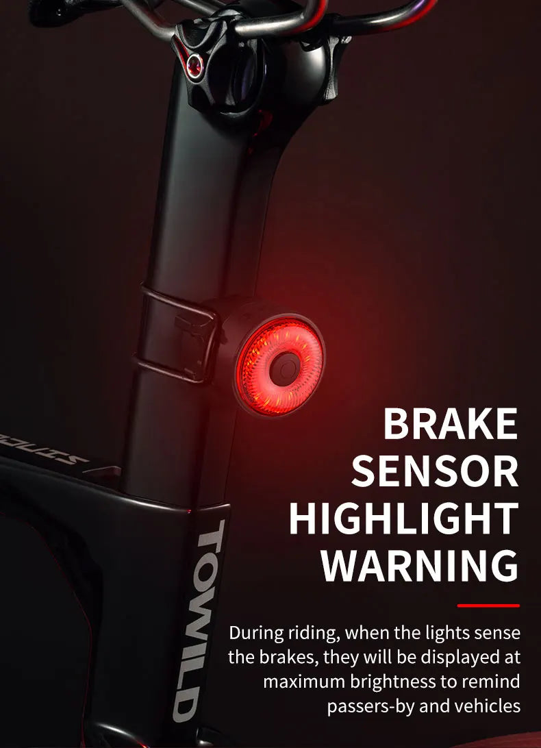 Bicycle Smart Auto Brake Sensing Light Type C Charging LED Cycling Taillight Bike Rear Light Warn Bicycle Taillight