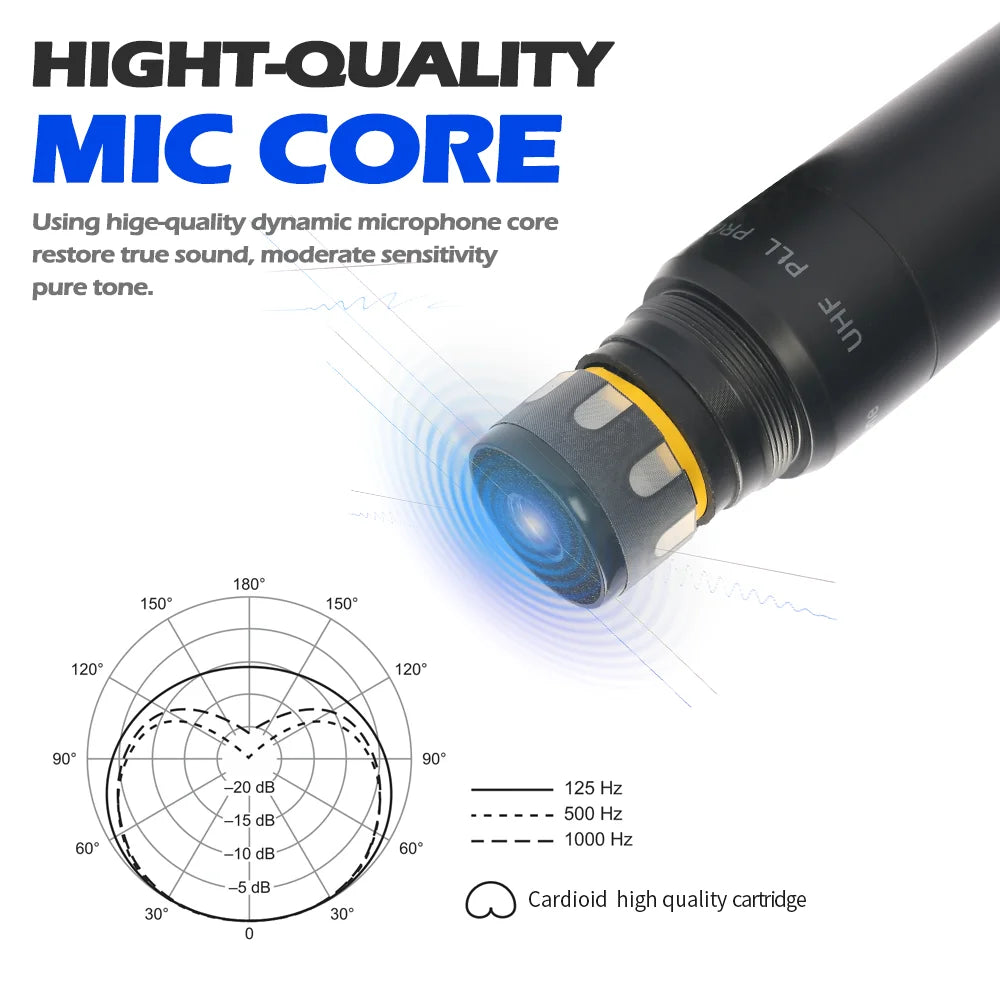 Dual Channel UHF Wireless Handheld Microphone System for Karaoke Events and Presentations