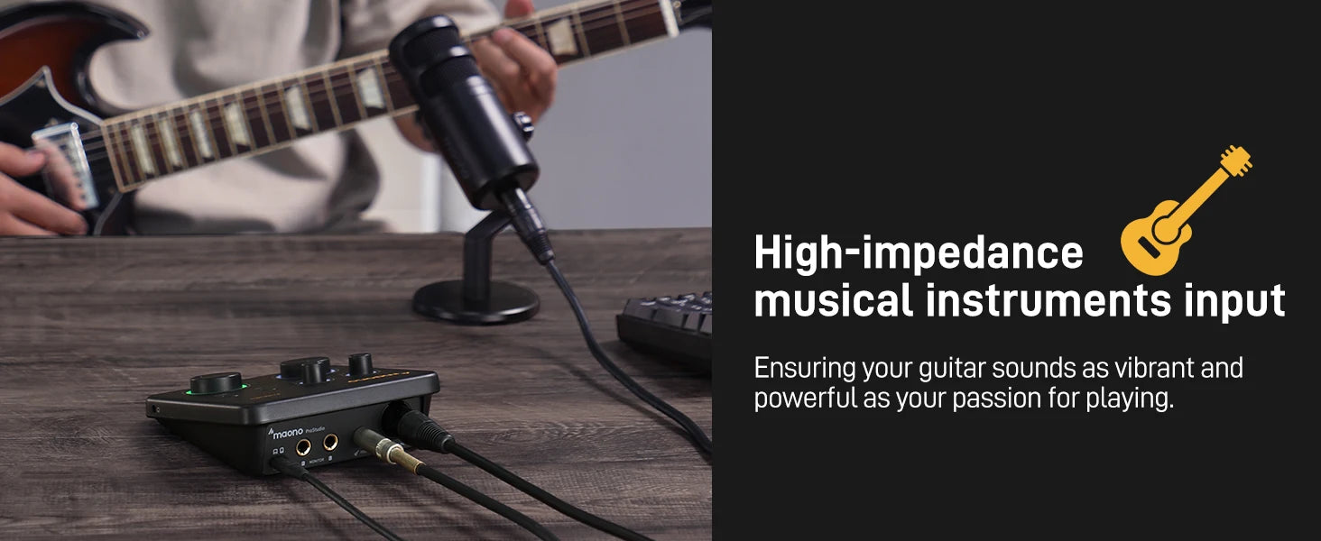 USB Audio Interface for PC,XLR Input 24-bit/192kHz Routing Software LOOPBACK ASIO for Recording Music,Guitar,DAW PS22 Lite