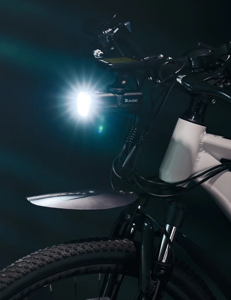 DLite 1200 Flood/Focus Beam Smart Remote Control 4000mAh battery Type-C rechargeable Road MTB Bike Light