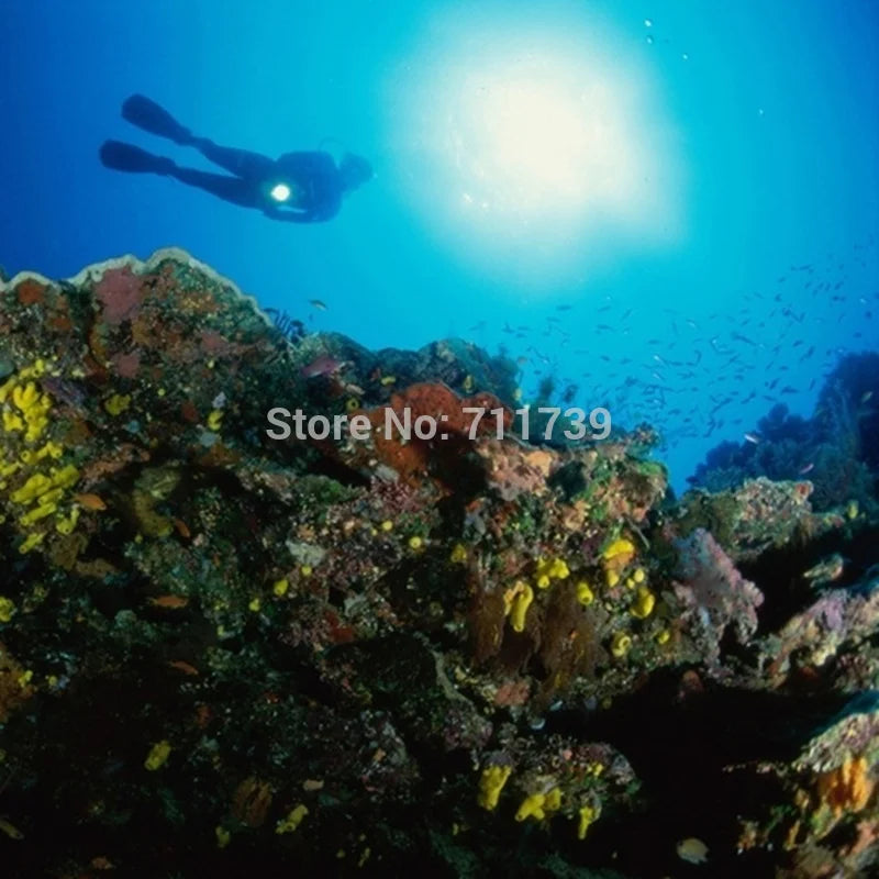 12W Diving Flashlight Rechargeable Underwater LED Torch