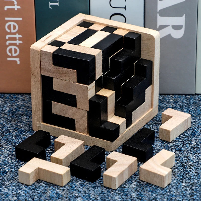 Wooden Brain Teaser Puzzle Game