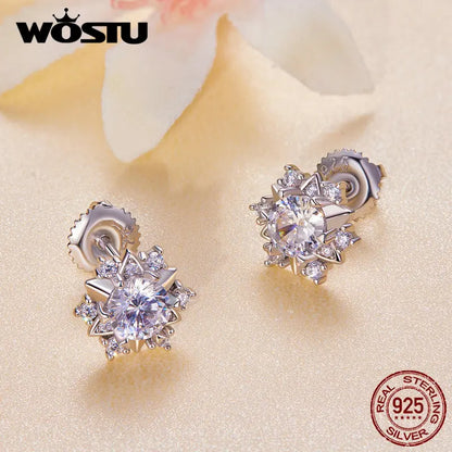 1.0 Ct Diamond Moissanite Wedding Stud Earrings For Women 925 Silver Sterling Snowflake Earring