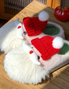 1 Pair Santa Claus Style Slippers, Indoor Warm Slippers, Winter Casual Slippers, Hand Washable, Christmas Gift, Unisex