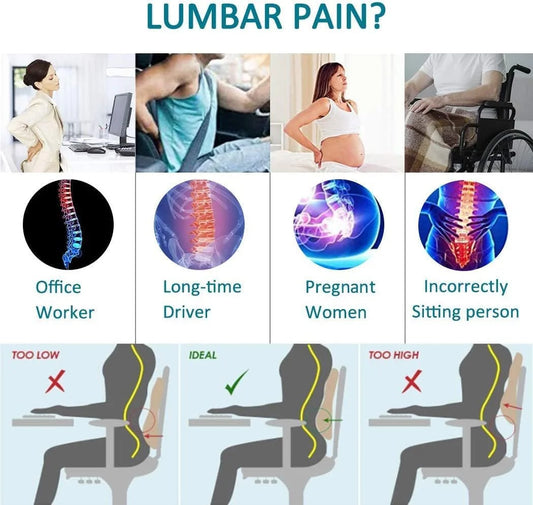 Memory Foam Car Seat Cushion and Lumbar Support for Office Chair