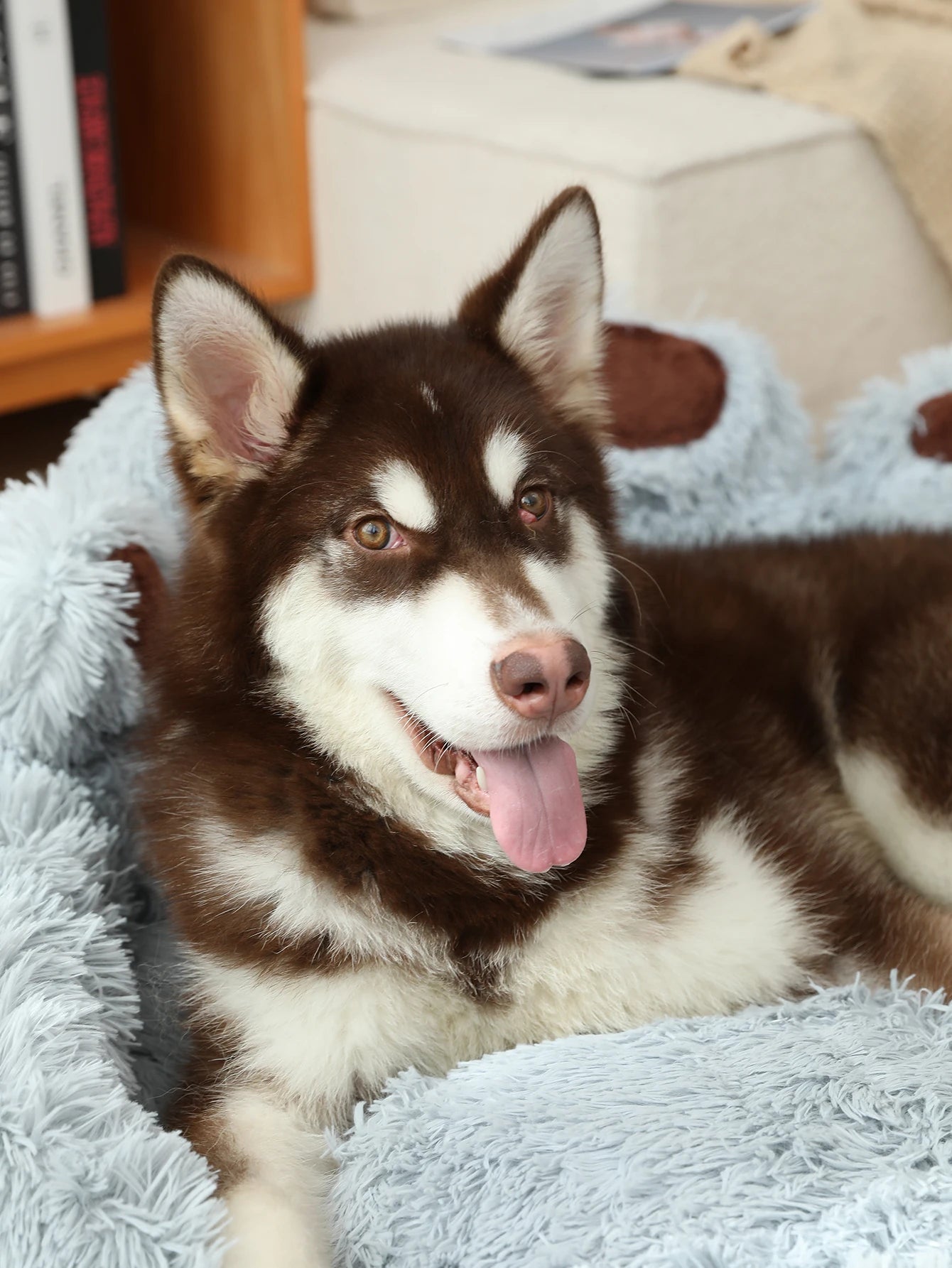 Plush Pet Bed Sofa Cushion for Dogs and Cats