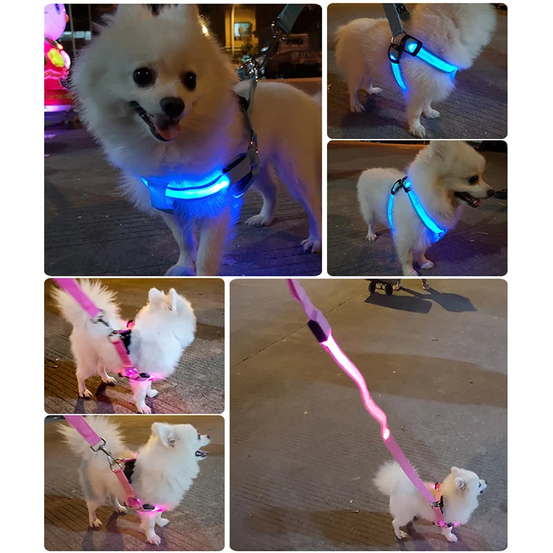 Adjustable LED Dog Harness No Pull Small Medium Glowing Nylon Breast-Band Night Safety