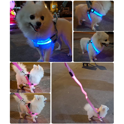 Adjustable LED Dog Harness No Pull Small Medium Glowing Nylon Breast-Band Night Safety