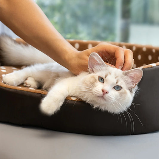 Coral Fleece Cat Bed Cushion Mat