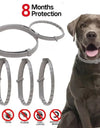 Dog Anti Flea And Ticks Cats Collar Pet 8Month Protection Retractable Pet Collars For Puppy Cat Large Dogs Accessories