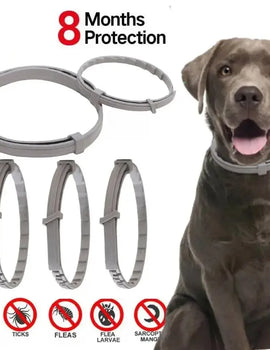 Dog Anti Flea And Ticks Cats Collar Pet 8Month Protection Retractable Pet Collars For Puppy Cat Large Dogs Accessories