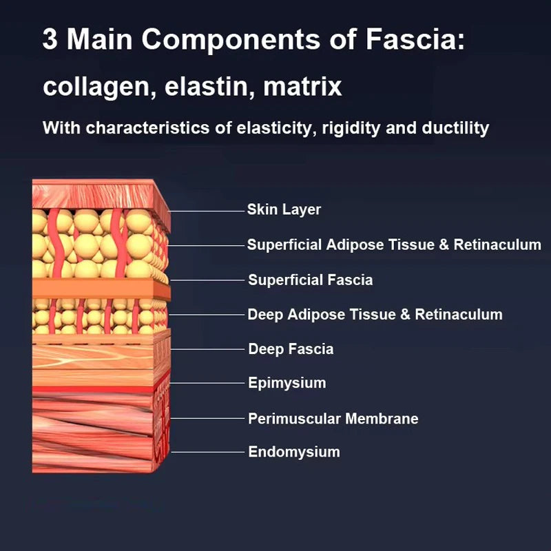 Fascia  Gua Sha Myofascial Massage Machine Fitness Muscle Massager Deep Tissue Shoulder Massagers Fibers Release Scraper