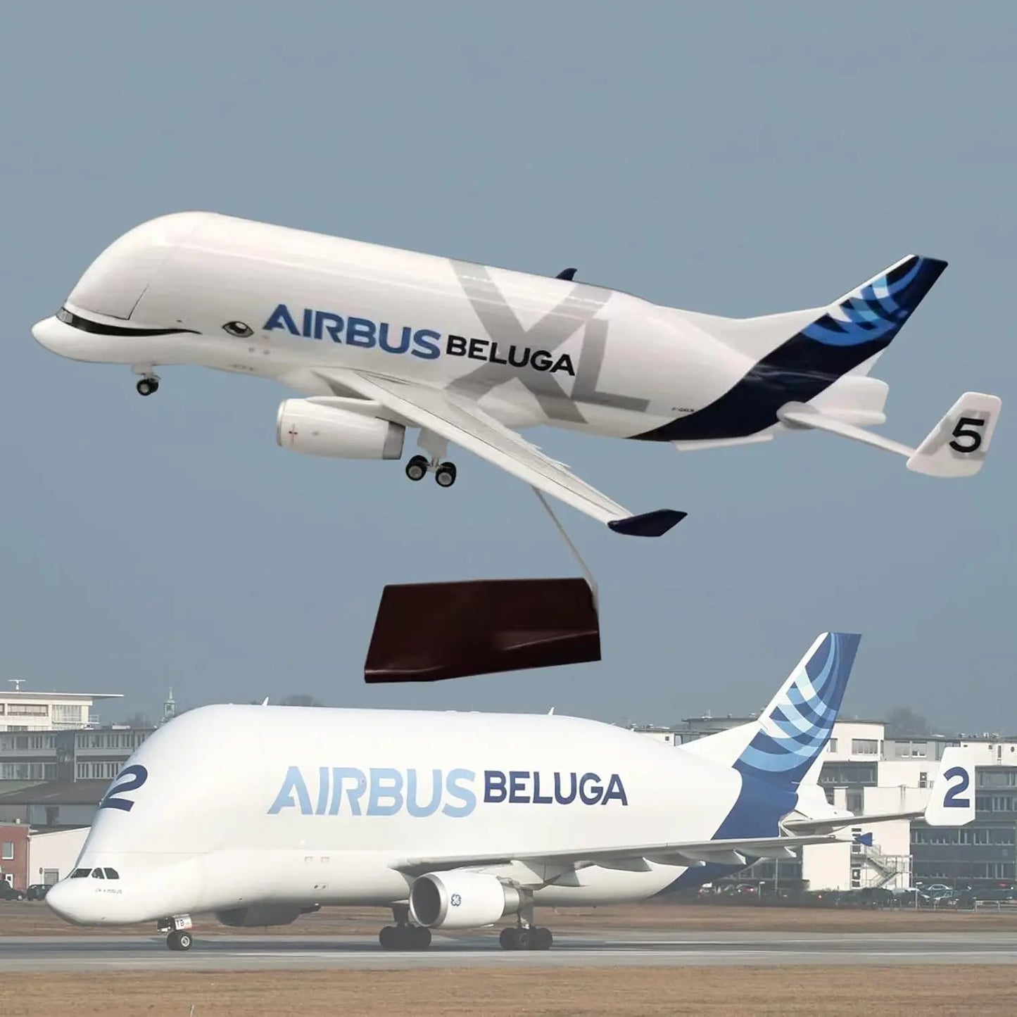A330 Beluga Airways Aircraft Model with Openable Cargo Bay