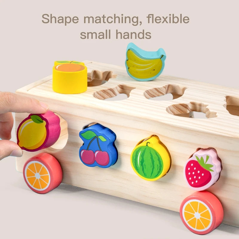 Newborn Baby Wooden Shape Sorter Montessori Toddler Early Education Toys Intelligence Box Shape Matching Toys for Children