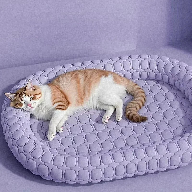 Cooling Pet Bed House for Cats and Small Dogs