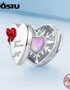 925 Sterling Silver Dream Catcher Bead Tree of Life Charms Crystal Heart Pedants