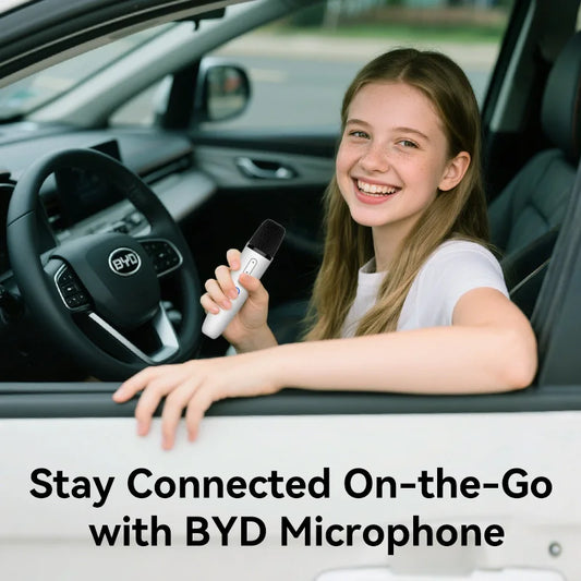 BYD Official Wireless Car Karaoke Microphone with USB-A & USB-C Receiver, Rechargeable Handheld Mic for All BYD & DENZA Models