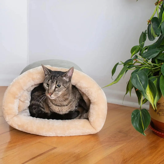 Corduroy Pet Bed House for Cats and Small Dogs