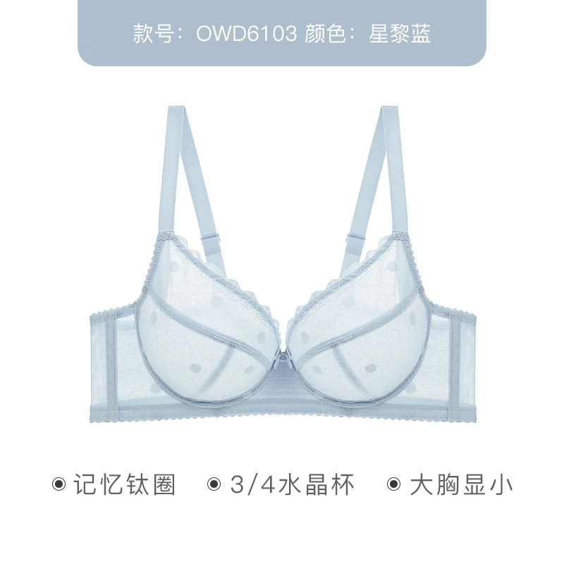 Womens French Lace Underwire Push Up Bra