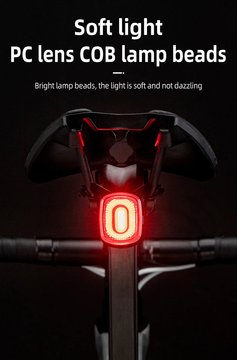 Smart Bicycle Brake Light IPx6 Taillight Type-C Bike Tail Rear Light Auto Stop LED Riding Warning Cycling Light
