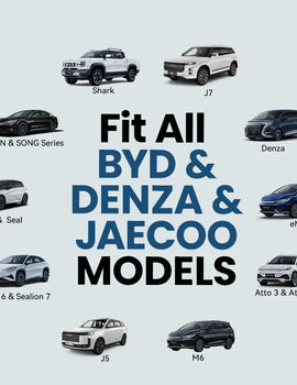 BYD & DENZA Official factory Car Microphone With Receiver, Karaoke Microphone for BYD all Models + Denza J5 J7, Original sale.