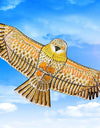 1.1m Eagle Kite with 30 Meter Kite Line Large Eagle Flying Bird Kites Children Gift Family Trips Garden Outdoor Sports DIY Toy