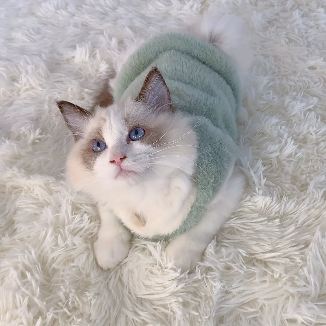 Warm Pet Vest Sweater for Cats and Small Dogs