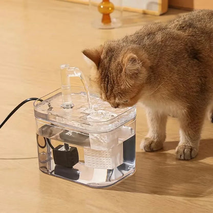 Automatic Pet Water Fountain Transparent USB Power Cat Water Dispenser 1500ml for Indoor Dog and Cat Water Feeding Supplies