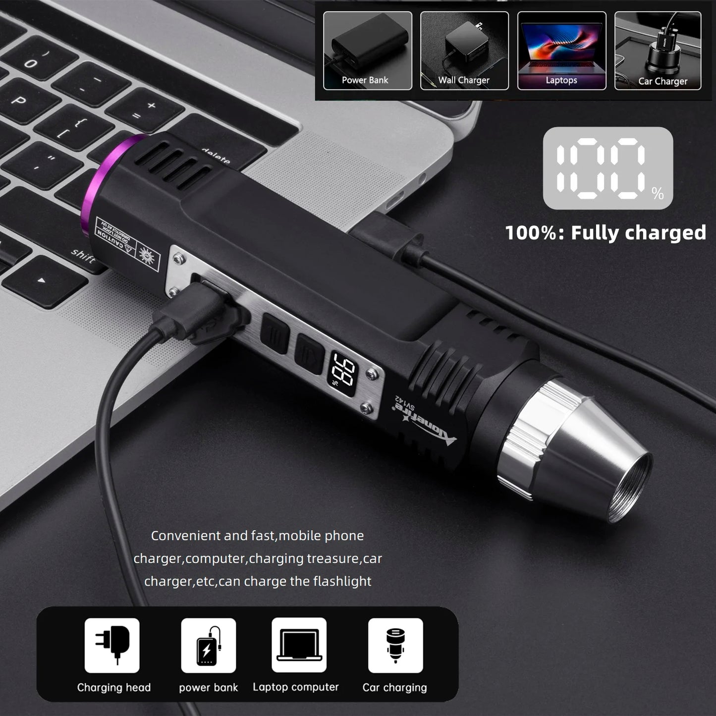 365nm UV Blacklight Rechargeable Flashlight