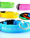 LED Glowing Dog Collars Rechargeable Waterproof Luminous Collar Adjustable Dog Night Light Collar Pet Dog Safety Necklace