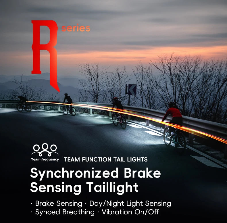 Smart Brake Sensing Bike Taillight IPX6 Waterproof Type-C Synchronized Bicycle Rear Light MTB Road Cycling Tail Light