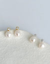 Elegant Water Drop Imitation Pearl Earrings