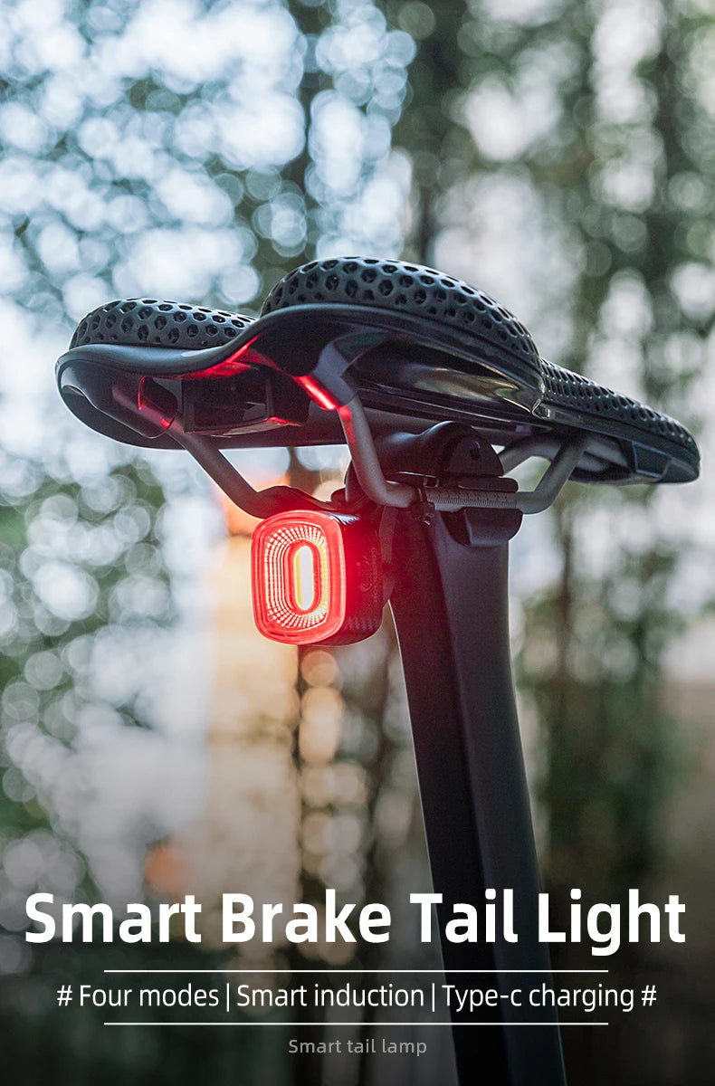 Smart Bicycle Brake Light IPx6 Taillight Type-C Bike Tail Rear Light Auto Stop LED Riding Warning Cycling Light