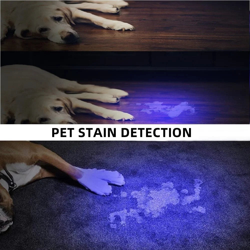 20W 365nm UV White Light Rechargeable Flashlight