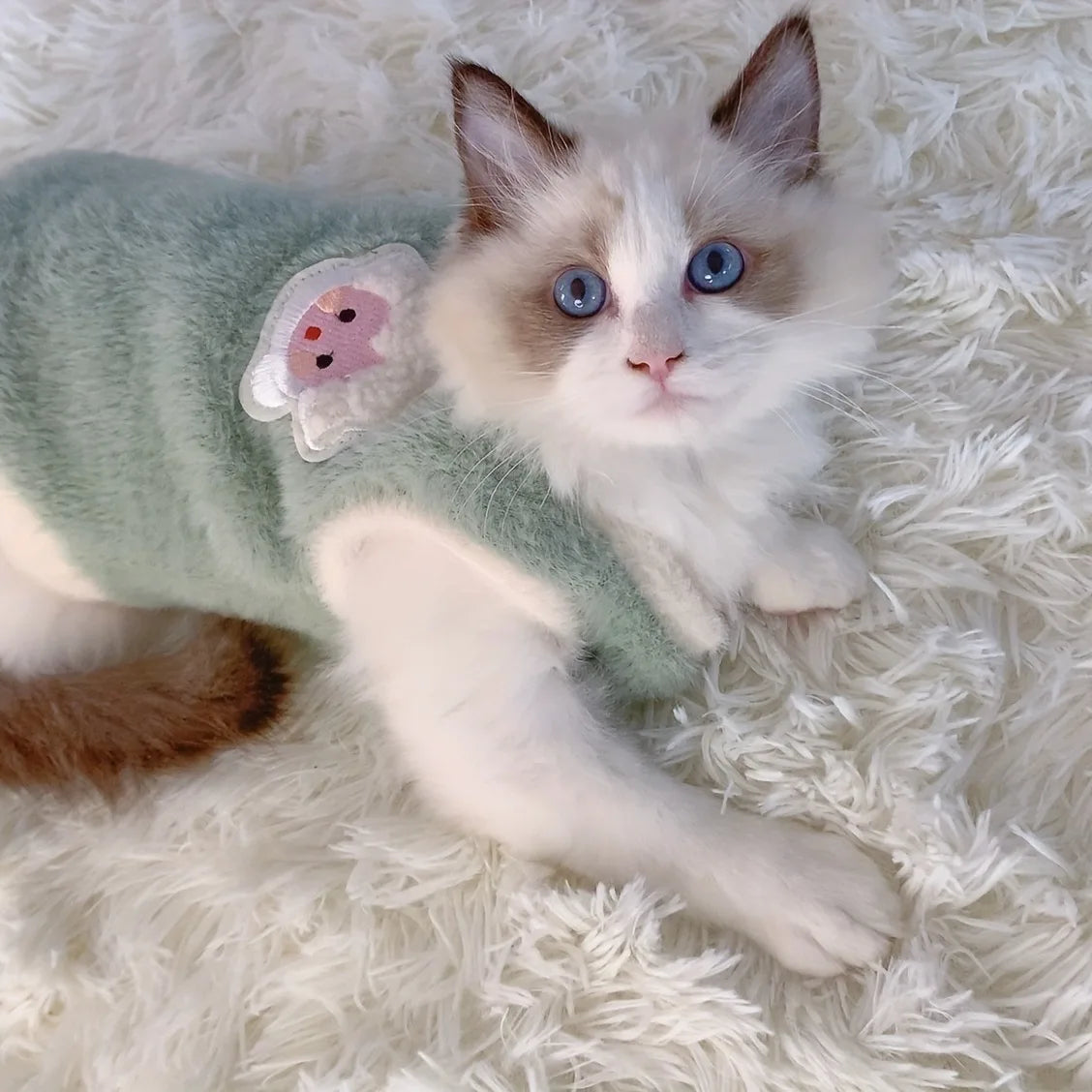 Warm Pet Vest Sweater for Cats and Small Dogs
