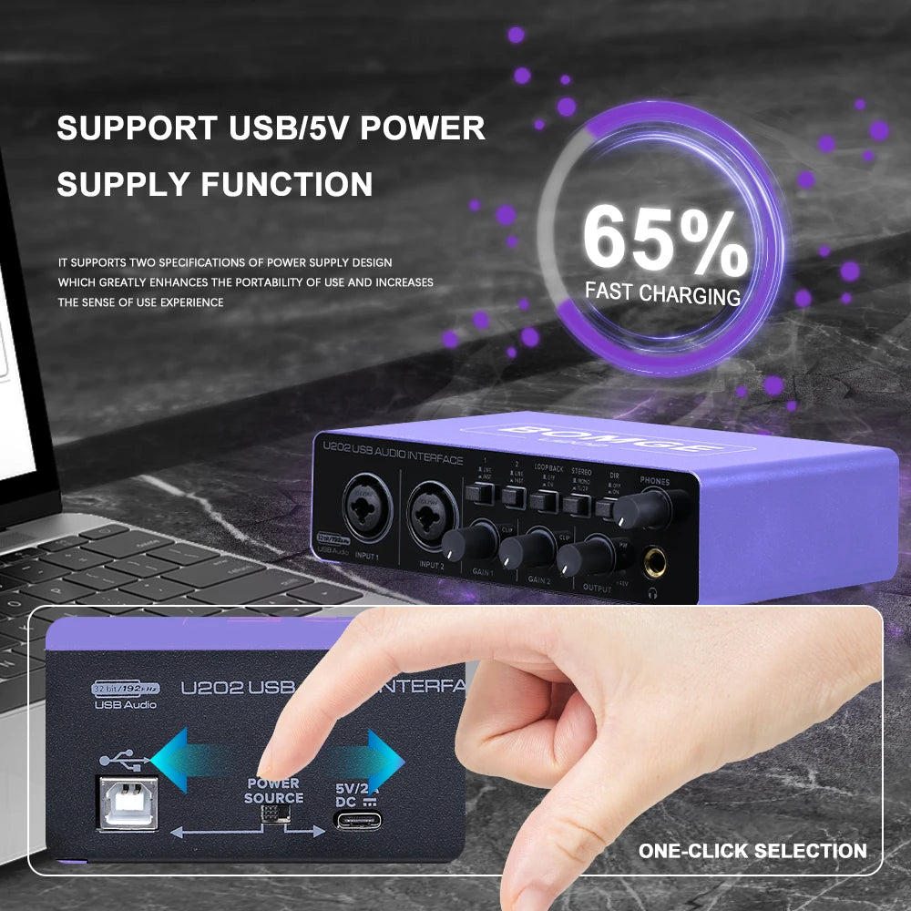 U202P USB Audio Interface with 32 Bit 192kHz Recording and 48V Phantom Power