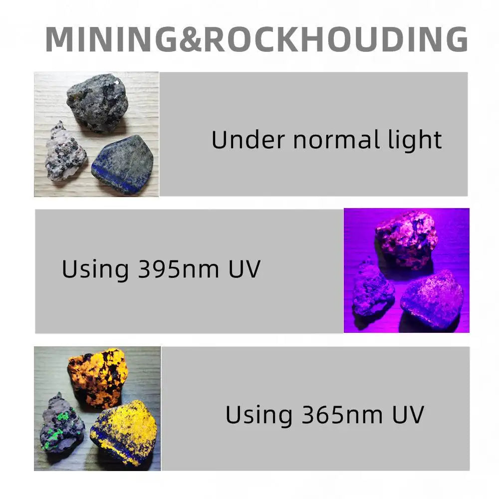 10W 365nm Dual Core UV Rechargeable Blacklight Flashlight