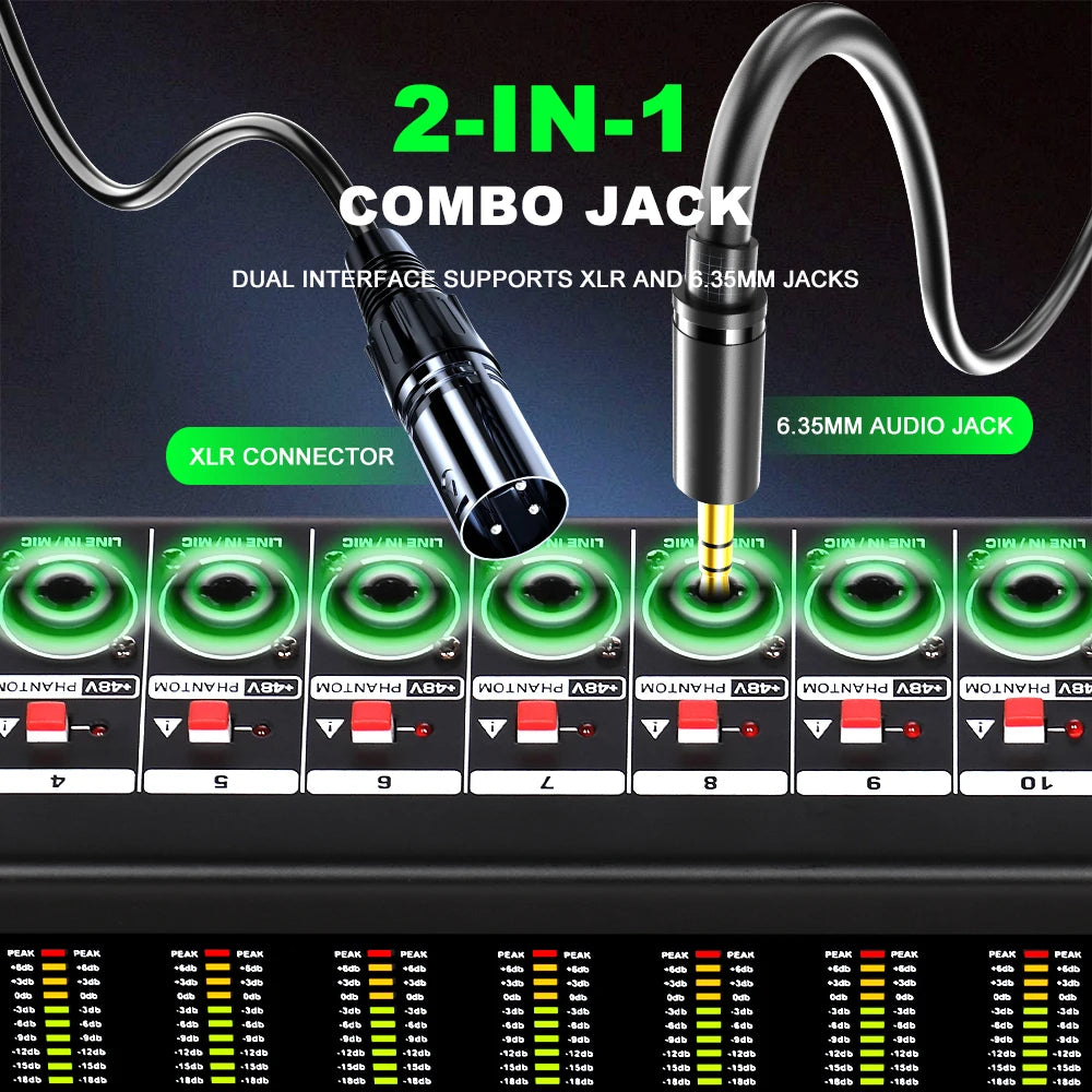 Professional 12 Channel Audio Mixer Console with USB Bluetooth and 256 DSP Effects